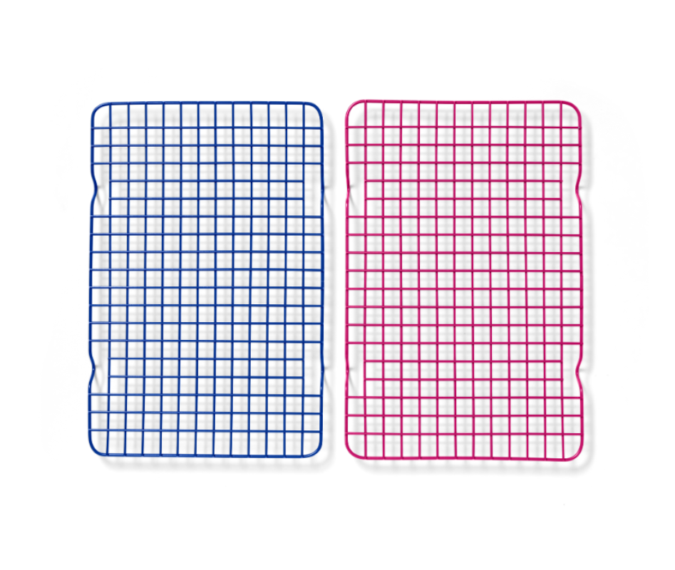 BlueberryandRaspberry_27638b76-05dc-4e8f-9e7e-e2c2fc80cc13.png