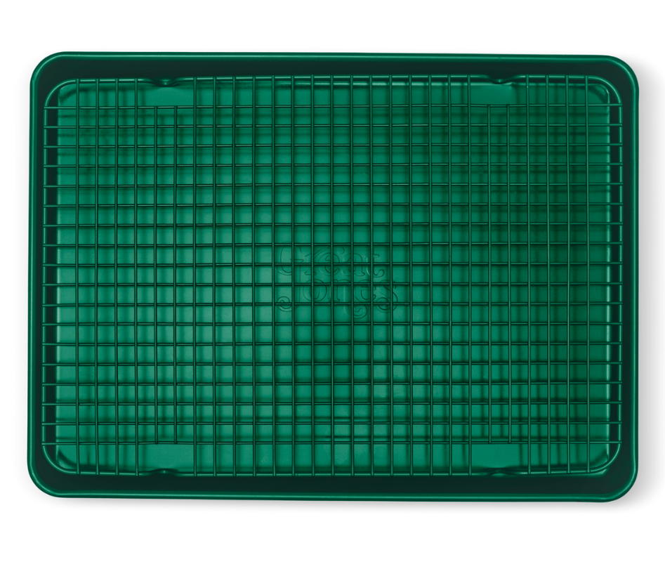 Broc_Broc2.png