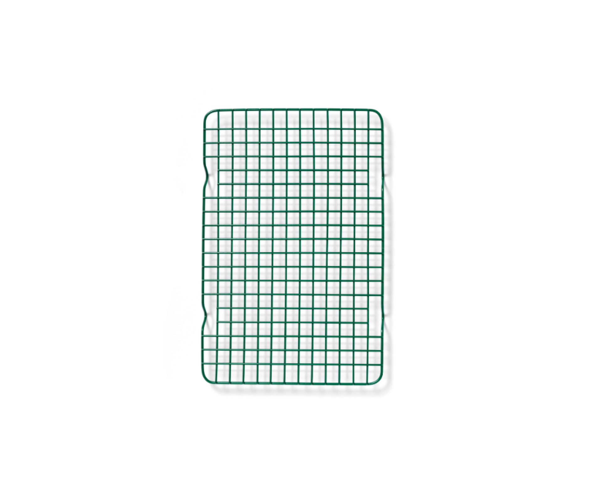 Broccoli_d5b30c1e-623f-44c9-8489-0900f48fb464.png