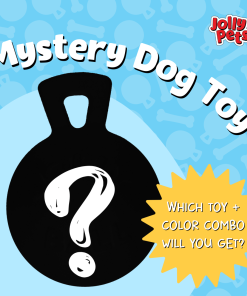 Mystery Toy