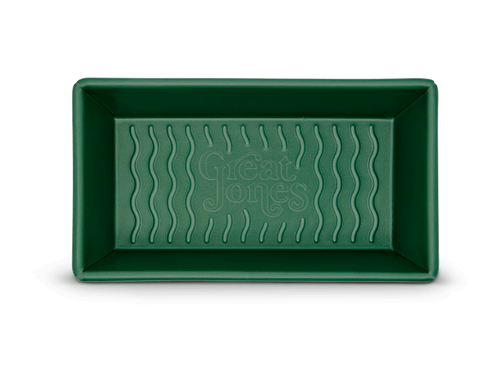 breadwinner_05-green.png