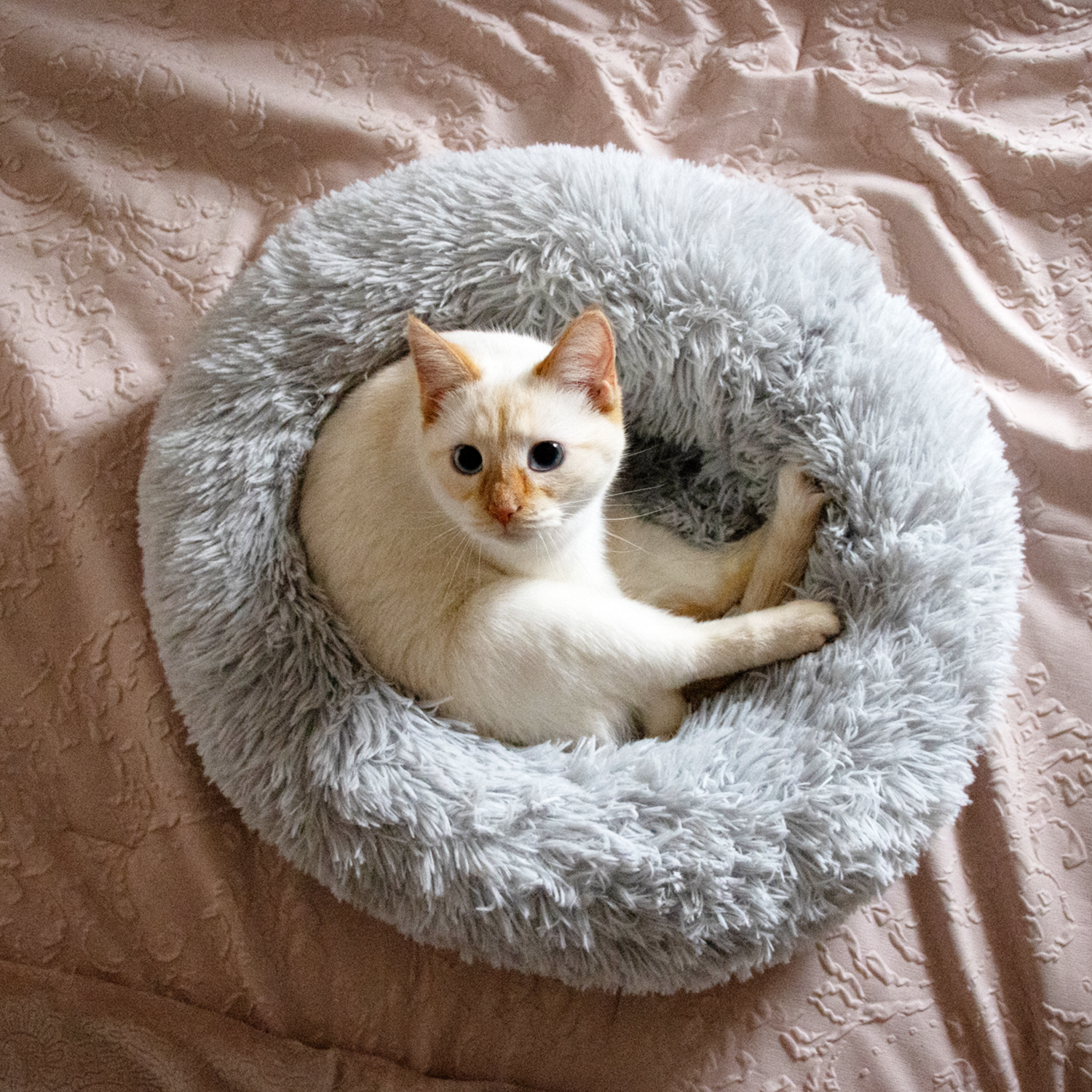 donut_lifestyle1.png